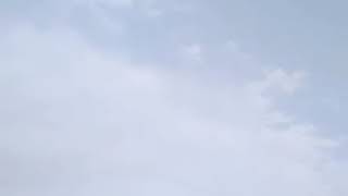 Download lagu Ditinggal Mentah Mentah mp3