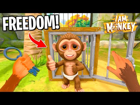 Helping My BABY MONKEY Escape The ZOO! (I Am Monkey VR)