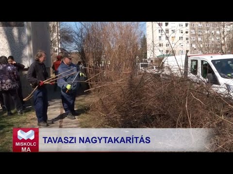 Videó előnézet