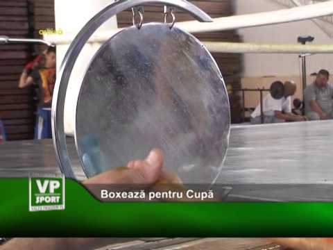 Boxeaza pentru Cupa