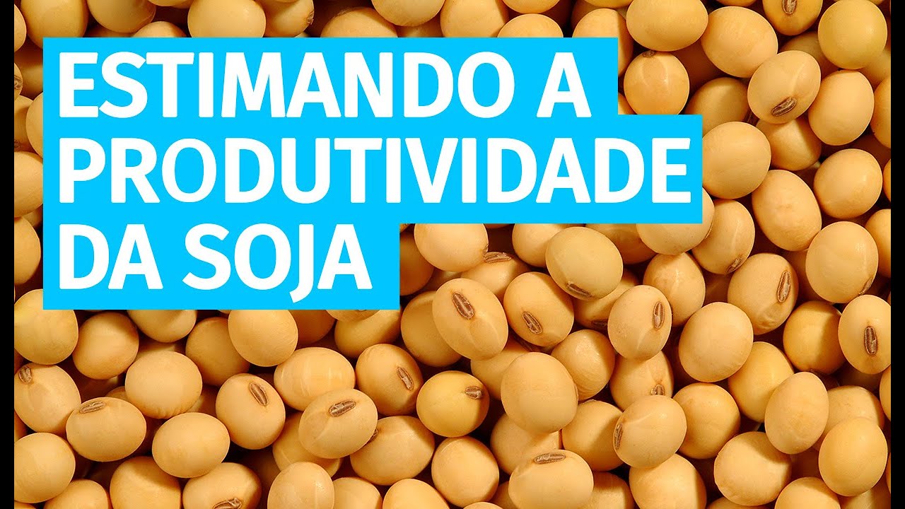 Estimando a produtividade da cultura da soja