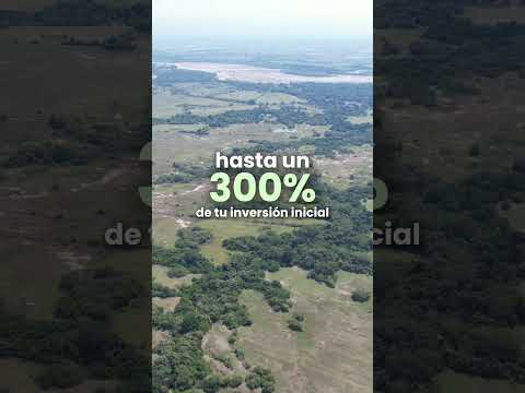 VENTA DE LOTES CAMPESTRES - UBICACIÓN VALLE DE SALDAÑA - LOTES 1.200 MTS2