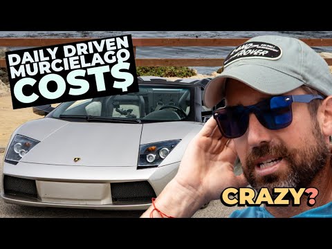 Lamborghini Murcielago Maintenance - What It Really Costs Daily Driving a Murcie + Hidden Problems