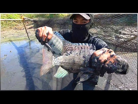 EP503-Part 1 - Paninimot ng Palaisdaan ni Tito Bong's Moto | Occ. Mindoro