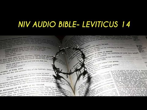 LEVITICUS 14 NIV AUDIO BIBLE (with text)