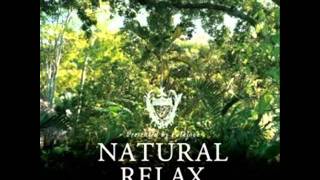 13 kenichiro nishihara say you love me feat  tamala