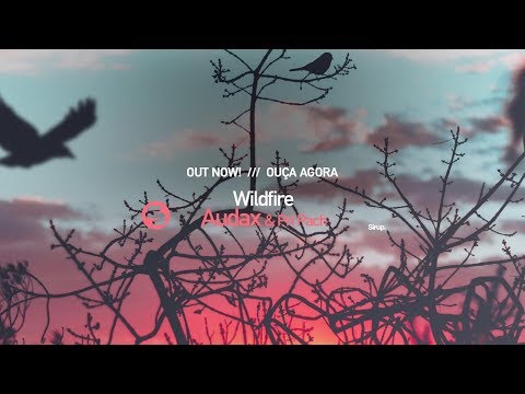 Audax & Pri Pach | Wildfire (Lyric Video)