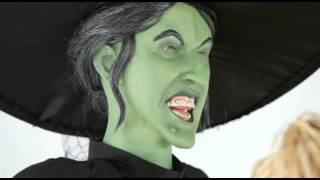 Wizard of Oz Wicked Witch of the West Decoration