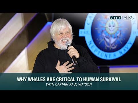 Captain Paul Watson: Why Whales are Critical to Human Survival
