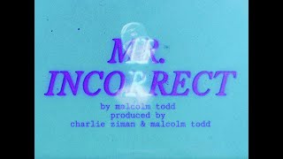 Cover art for Mr. Incorrect