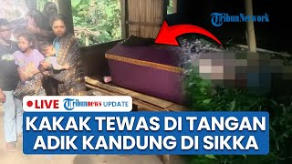 LIVE: Tragis! Kakak Tewas di Tangan Adik Kandung di Sikka gegara Pertikaian, Pelaku Serahkan Diri