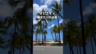 ハワイでキャリアを切り拓くチャンス🌺第21回 びびなび仕事探し交流会 in Hawaii 開催!