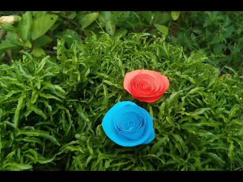 how to make rose flowers 🌹🌹