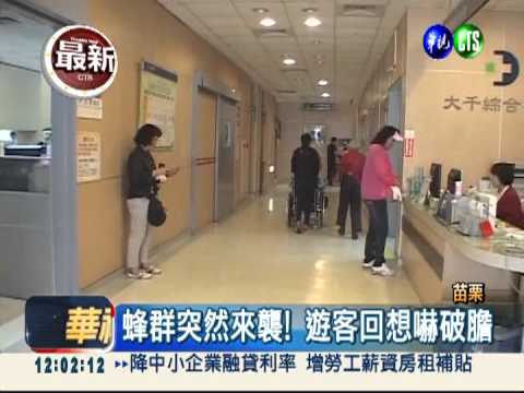 客家大院遭蜂螫! 遊客全身20傷