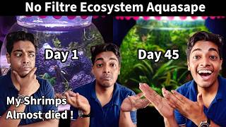 What Happend to our Fishbowl Experiment ? 45 Days Update on No filtre , No CO2 Fishbowl Aquascape