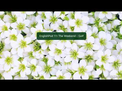 EnglishPod 111 The Weekend - Golf