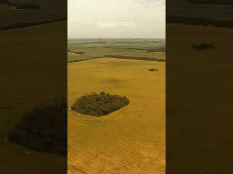 Campo agrícola en venta en Río Segundo | 450 ha | Cerca Autopista Córdoba–Rosario