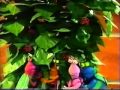 Sesame Street The Twiddlebugs Go AROUND The Mulberry Bush Slow