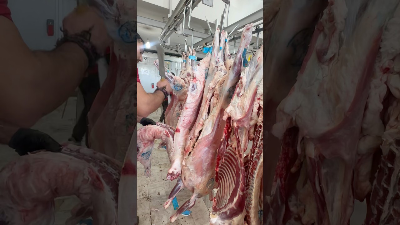 Lamb carcass and butcher's cleaver🧐#shorts