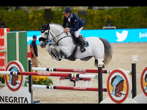 Global Champion Jumping Stallion CLARIMO is here in Australia and NZ for equine breeders 2020/21.