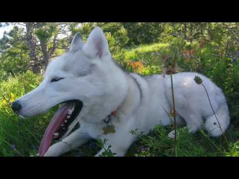 VELEBIT trail running Croatia B-side video - Outdoors Croatia