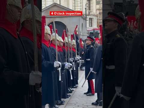 Friendly OFFICER - 4 O’clock inspection - Blues and Royals #kingsguard #horseguardsparade #horse