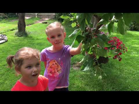 Rahely ja Kelly aias