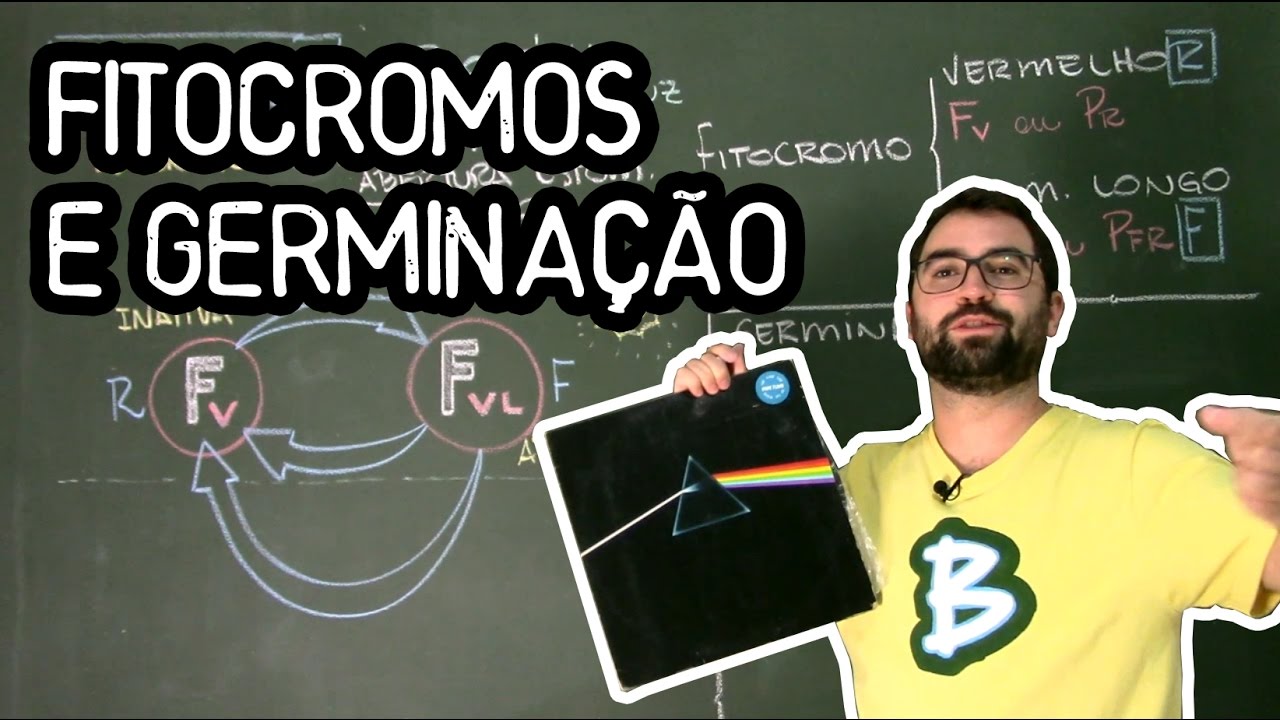 Fitocromos e Germinação - Fisiologia Vegetal - Aula 32: Botânica (Prof. Guilherme)