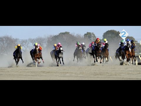 February Stakes (G1)  2019 -  Inti