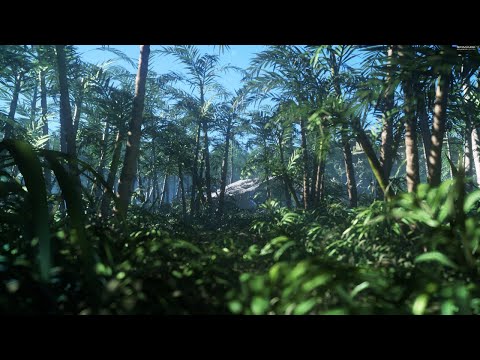 3DMark11: Unfolding the Future with DirectX 11 Tessellation 📐