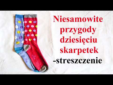 Niesamowite przygody dziesięciu skarpetek - Streszczenie