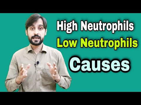 Neutrophil And Its Role in Body | High and Low Causes in Blood