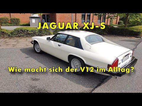 JAGUAR XJ-S V12 - Endlich darf ich fahren...