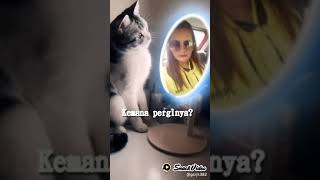 Download lagu Wah, kontennya bermanfaat banget❤️https://sck.io/p/Wud8sFpv mp3 Download lagu Wah, kontennya bermanfaat banget❤️https://sck.io/p/Wud8sFpv mp3