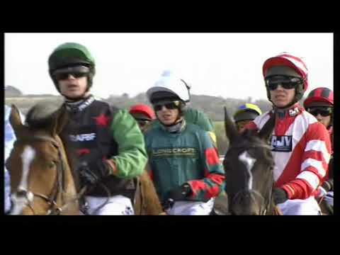 2011 Vincent O'Brien County Handicap Hurdle - Cheltenham Festival