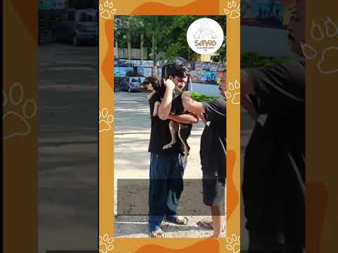 #rabiesawareness SAWO