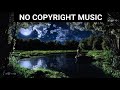Grasshopper Sound And River Sound Relaxing Nature Sounds (NO COPYRIGHT MUSIC) FREE DOWNLOAD