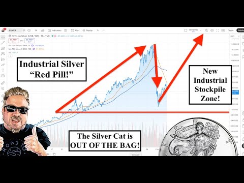 SILVER ALERT! Paper Silver's Low Price is Causing the GLOBAL RUN ON PHYSICAL SILVER! (Bix Weir)