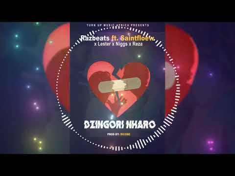 Razbeats Ft. Sainfloew x Lester x Niggs & Reza - Dzingori Nharo (Visualizer)