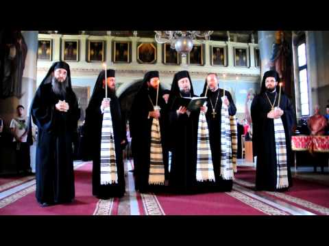 Brațele părintești - Arhim. Irineu Dogaru