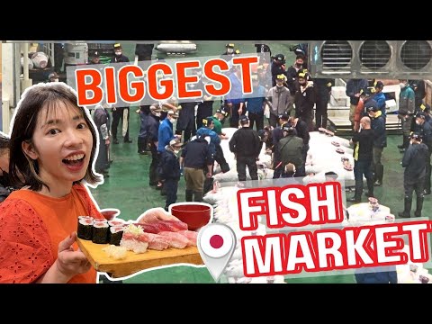 Toyosu Fish Market Guide: Tuna auction and Sushi breakfast, Tokyo Japan
