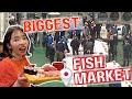 Toyosu Fish Market Guide Tuna Auction And Sushi Breakfast Tokyo Japan