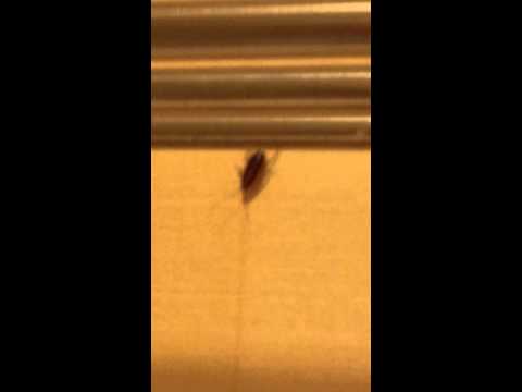 Econo Lodge Griffin,GA