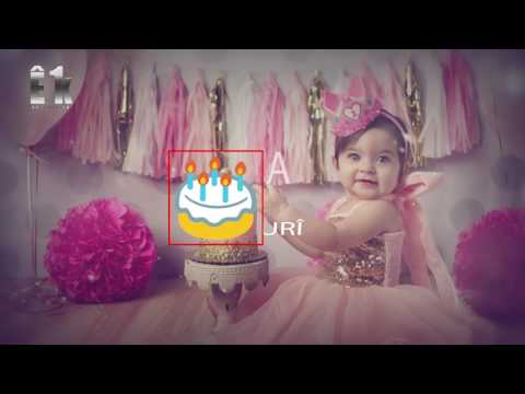 Nikar Kamil - Roj buna te