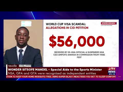 World Cup visa scandal: Sports Ministry not shielding anyone – Sports Minister’s special aide
