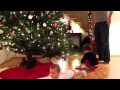 Counting Santa S Cookies