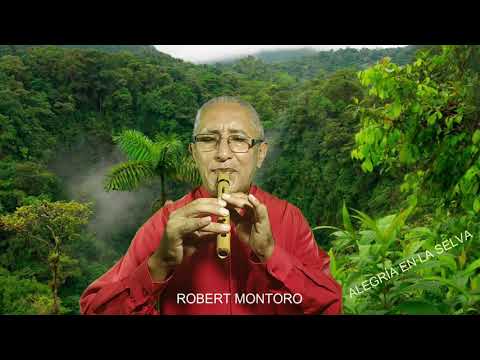 ALEGRÍA EN LA SELVA - Andrés Vargas pinedo - Robert Montororo