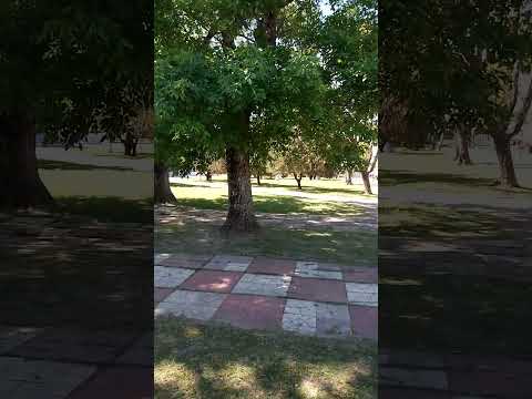 Las siestas en Curuzu Cuatia Corrientes 😴😴😴