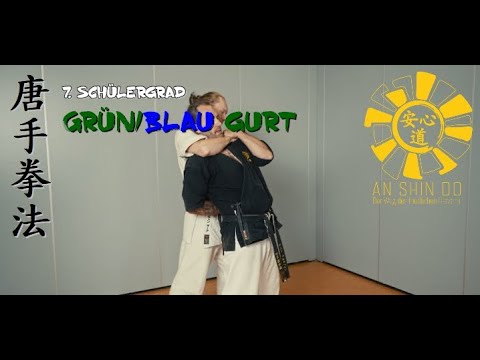AN SHIN DO Grün-/ Blaugurt Teil 2 Komplexe Befreiung (Martial Arts Training)