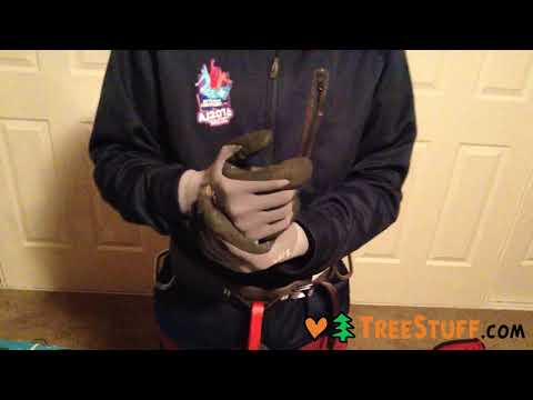 YouTube Thumbnail zx0JJj8ur8U